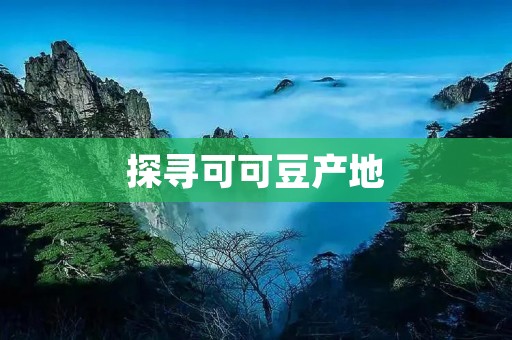 探寻可可豆产地：从南美到非洲，世界各地的可可豆之旅