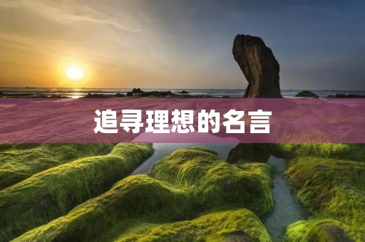 追寻理想的名言