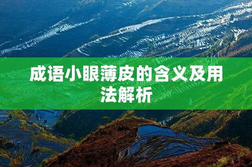 成语小眼薄皮的含义及用法解析