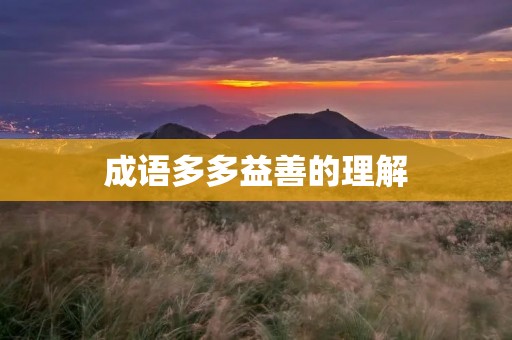 成语多多益善的理解 成语多多益善的理解