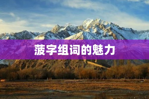 菠字组词的魅力