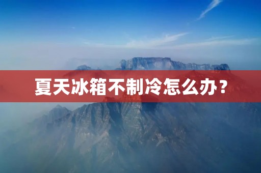 夏天冰箱不制冷怎么办?