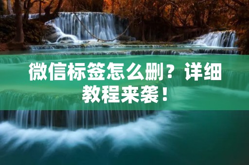 微信标签怎么删?详细教程来袭! 微信标签怎么删?详细教程来袭!