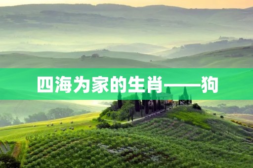 四海为家的生肖——狗