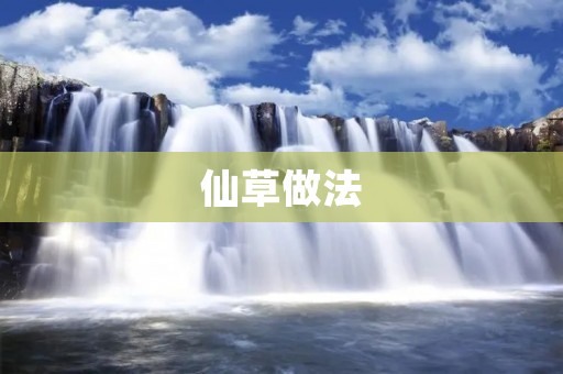 仙草做法：手把手教你制作美味仙草甜品