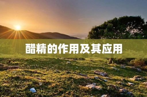醋精的作用及其应用