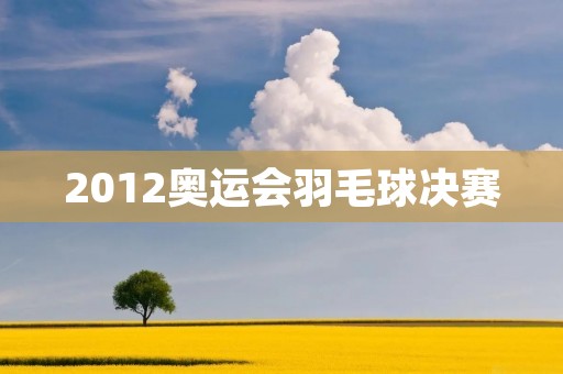 2012奥运会羽毛球决赛：林丹vs李宗伟