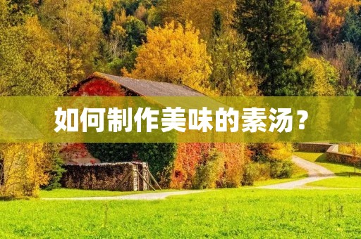 如何制作美味的素汤？