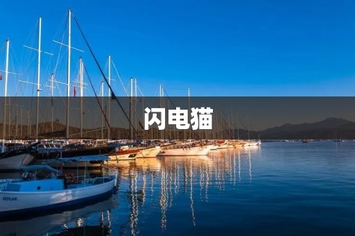闪电猫:一个充满神秘与力量的英雄 闪电猫:一个充满神秘与力量的英雄
