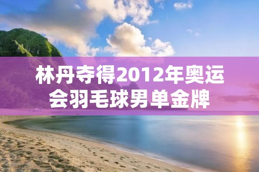 林丹夺得2012年奥运会羽毛球男单金牌 林丹夺得2012年奥运会羽毛球男单金牌