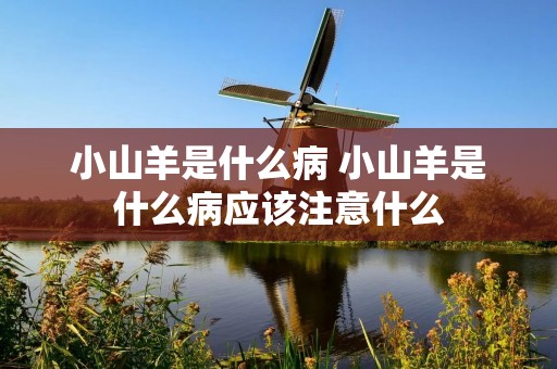 小山羊是什么病 小山羊是什么病应该注意什么