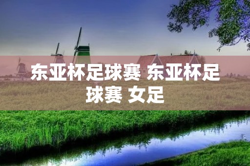 东亚杯足球赛 东亚杯足球赛 女足