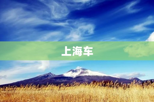 上海车:城市出行的必备选择 上海车:城市出行的必备选择