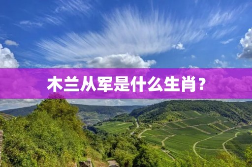 木兰从军是什么生肖？