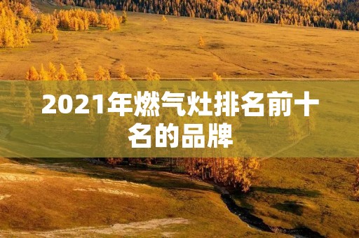2021年燃气灶排名前十名的品牌