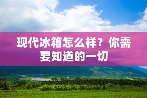 现代冰箱怎么样?你需要知道的一切