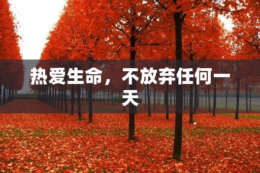热爱生命，不放弃任何一天