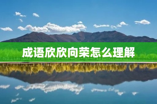成语欣欣向荣怎么理解