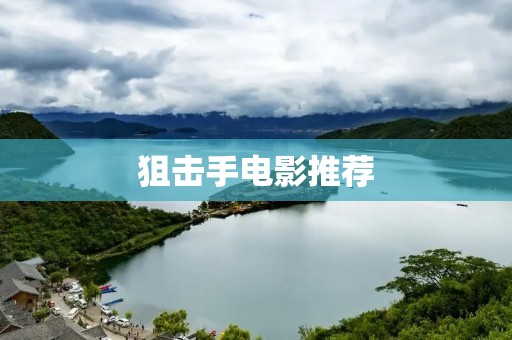 狙击手电影推荐