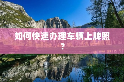 如何快速办理车辆上牌照？