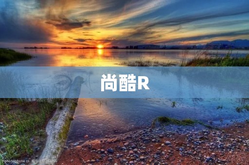 尚酷R：一款极致性能的游戏手机