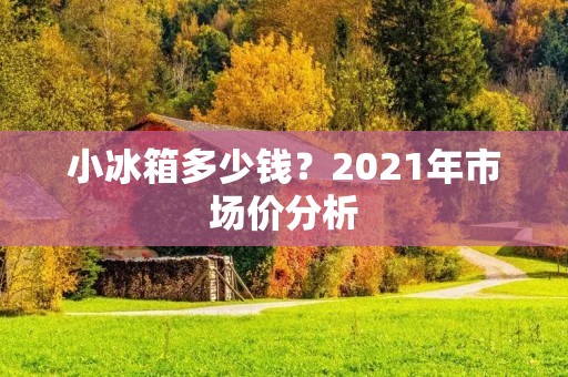 小冰箱多少钱?2021年市场价分析