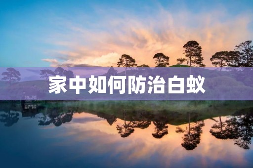 家中如何防治白蚁