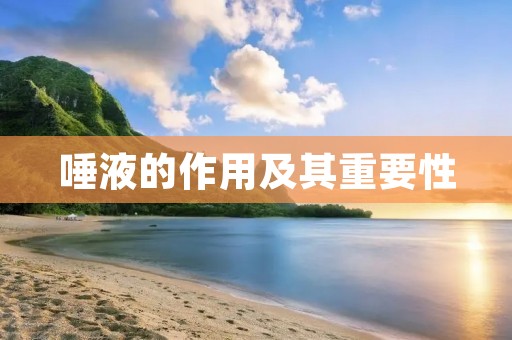 唾液的作用及其重要性 唾液的作用及其重要性
