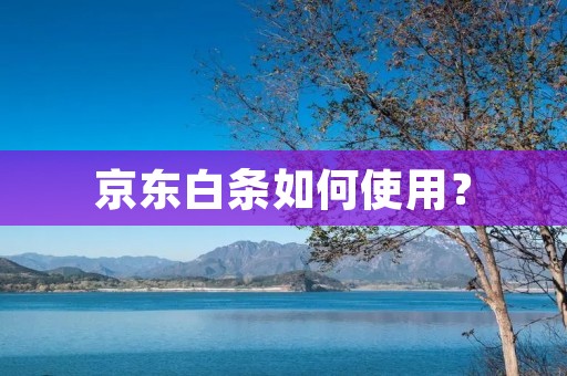 京东白条如何使用？