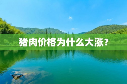 猪肉价格为什么大涨?