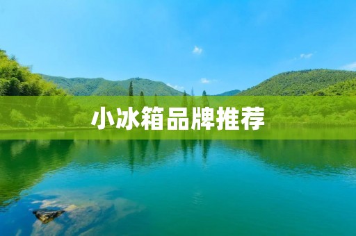 小冰箱品牌推荐:如何选择适合自己的小冰箱?