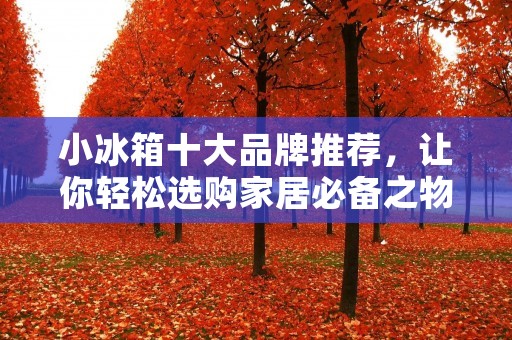 小冰箱十大品牌推荐,让你轻松选购家居必备之物