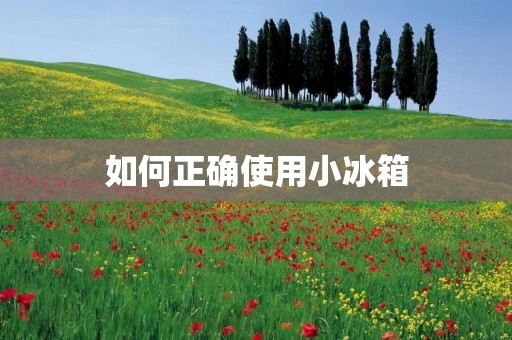 如何正确使用小冰箱