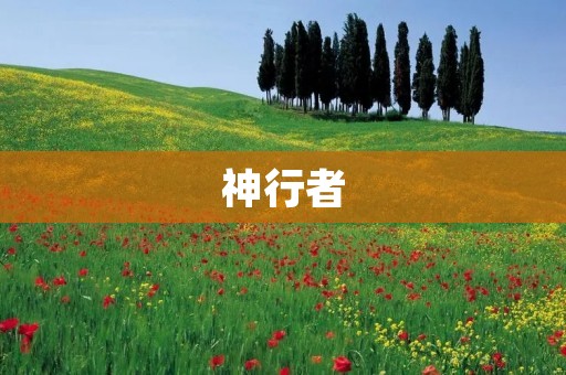 神行者:一款颠覆你对动作游戏的认知的力作 神行者:一款颠覆你对动作游戏的认知的力作