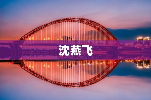 沈燕飞：从一名普通教师到全国著名科技教育家