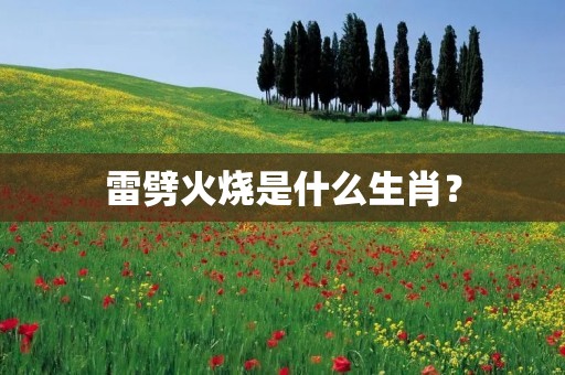 雷劈火烧是什么生肖？