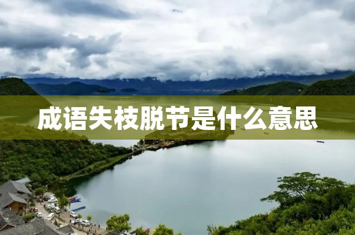 成语失枝脱节是什么意思