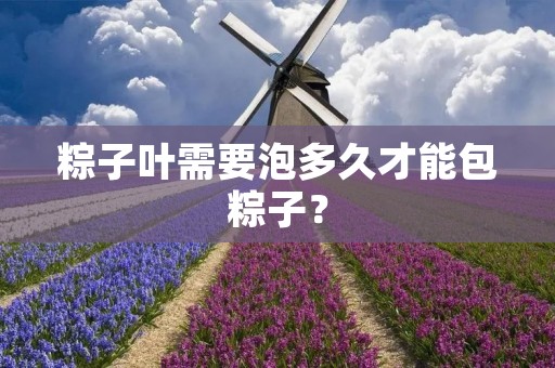 粽子叶需要泡多久才能包粽子?