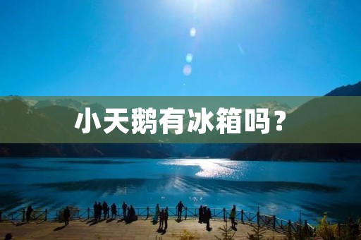 小天鹅有冰箱吗?