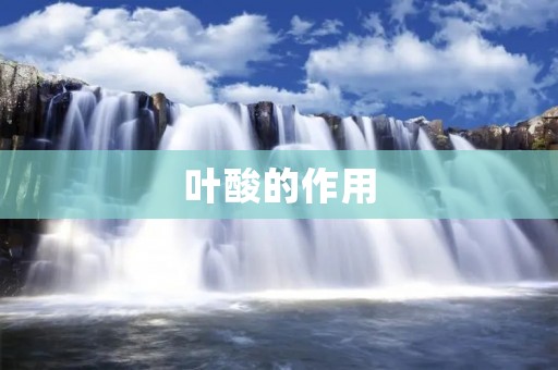 叶酸的作用：为何备孕、孕期、哺乳期必不可少