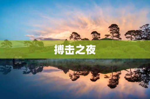 搏击之夜：打破界限，挑战极限
