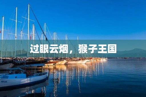 过眼云烟，猴子王国