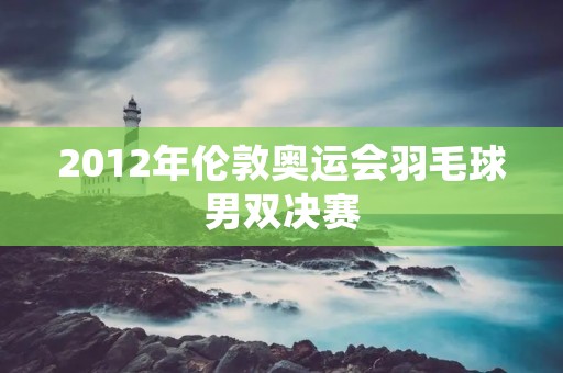 2012年伦敦奥运会羽毛球男双决赛：中国队包揽冠亚军