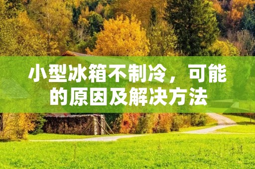 小型冰箱不制冷,可能的原因及解决方法