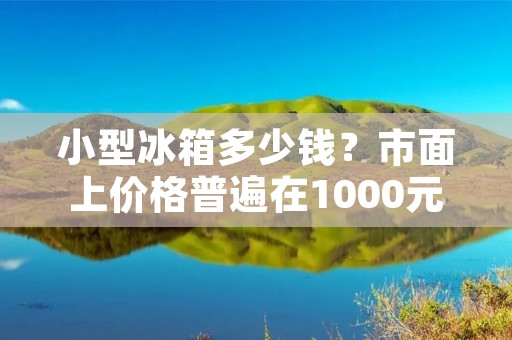 小型冰箱多少钱?市面上价格普遍在1000元左右