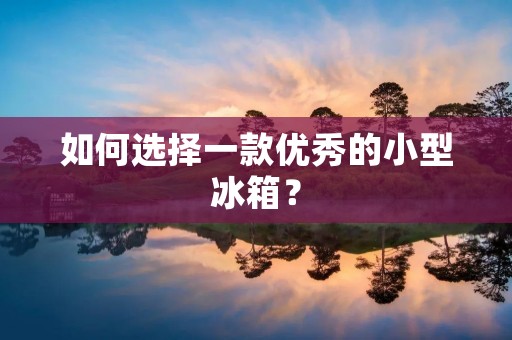 如何选择一款优秀的小型冰箱?