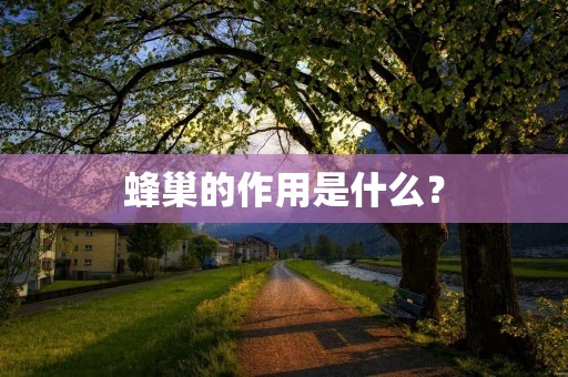 蜂巢的作用是什么? 蜂巢的作用是什么?