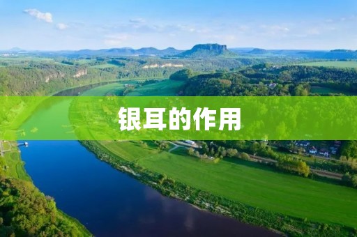 银耳的作用：解毒养颜，滋阴润燥，降血脂降血糖
