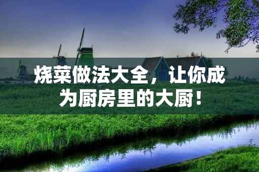 烧菜做法大全,让你成为厨房里的大厨! 烧菜做法大全,让你成为厨房里的大厨!