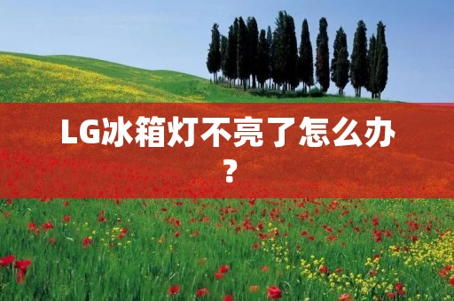 LG冰箱灯不亮了怎么办? LG冰箱灯不亮了怎么办?